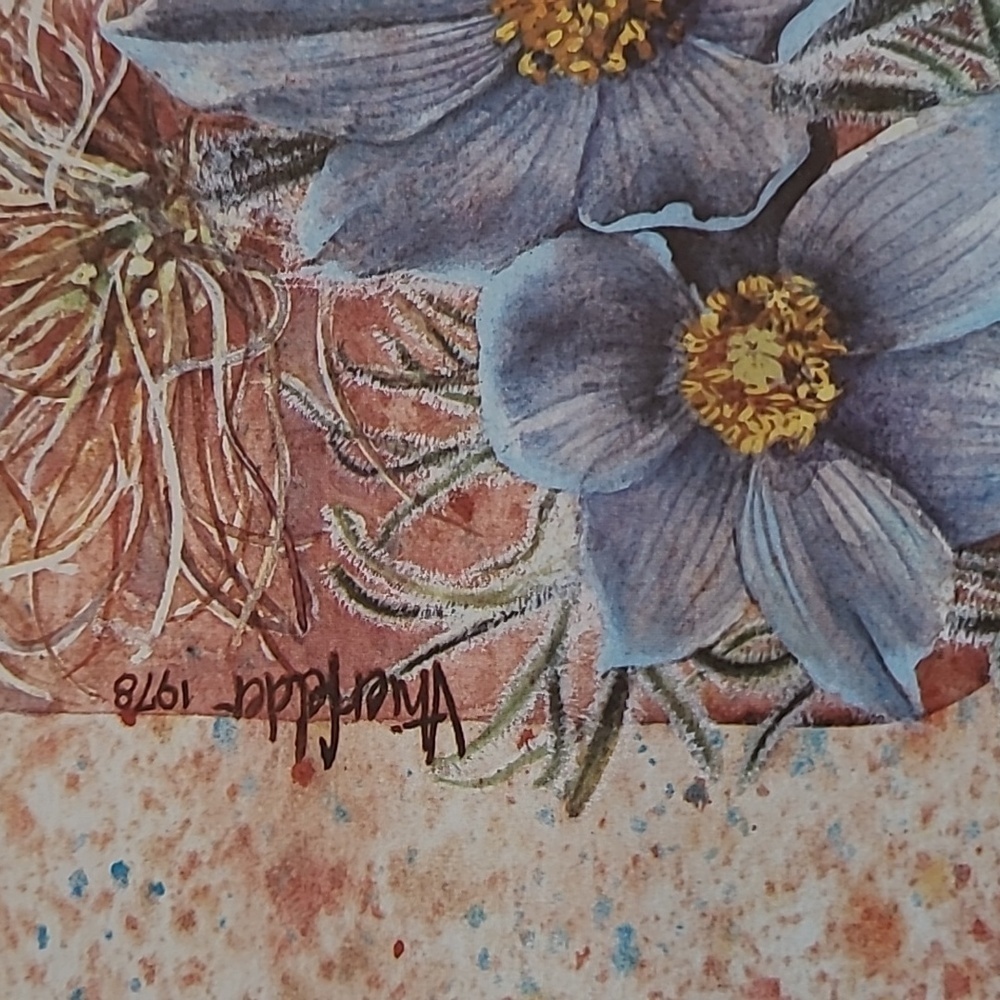 VIVIAN THIERFELDER VINTAGE FLORAL ART PRINTS, Unframed - Picture 12 of 16